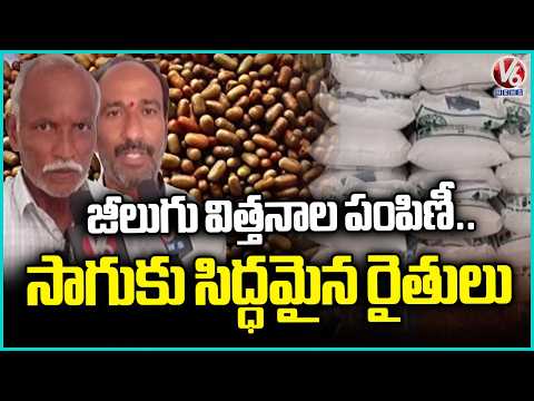 Jilugu Seeds Distribution In Karimnagar | Farmers Ready For Cultivation | V6 News - V6NEWSTELUGU
