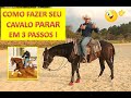 Como fazer seu cavalo parar em 3 passos! - Rui Pandolfo