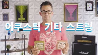 Ernie Ball 101: 어쿠스틱 기타 스트링
