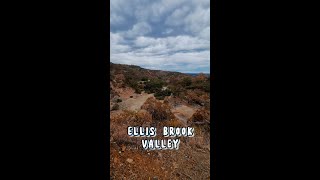 Ellis Brook Valley  4K Video Quality