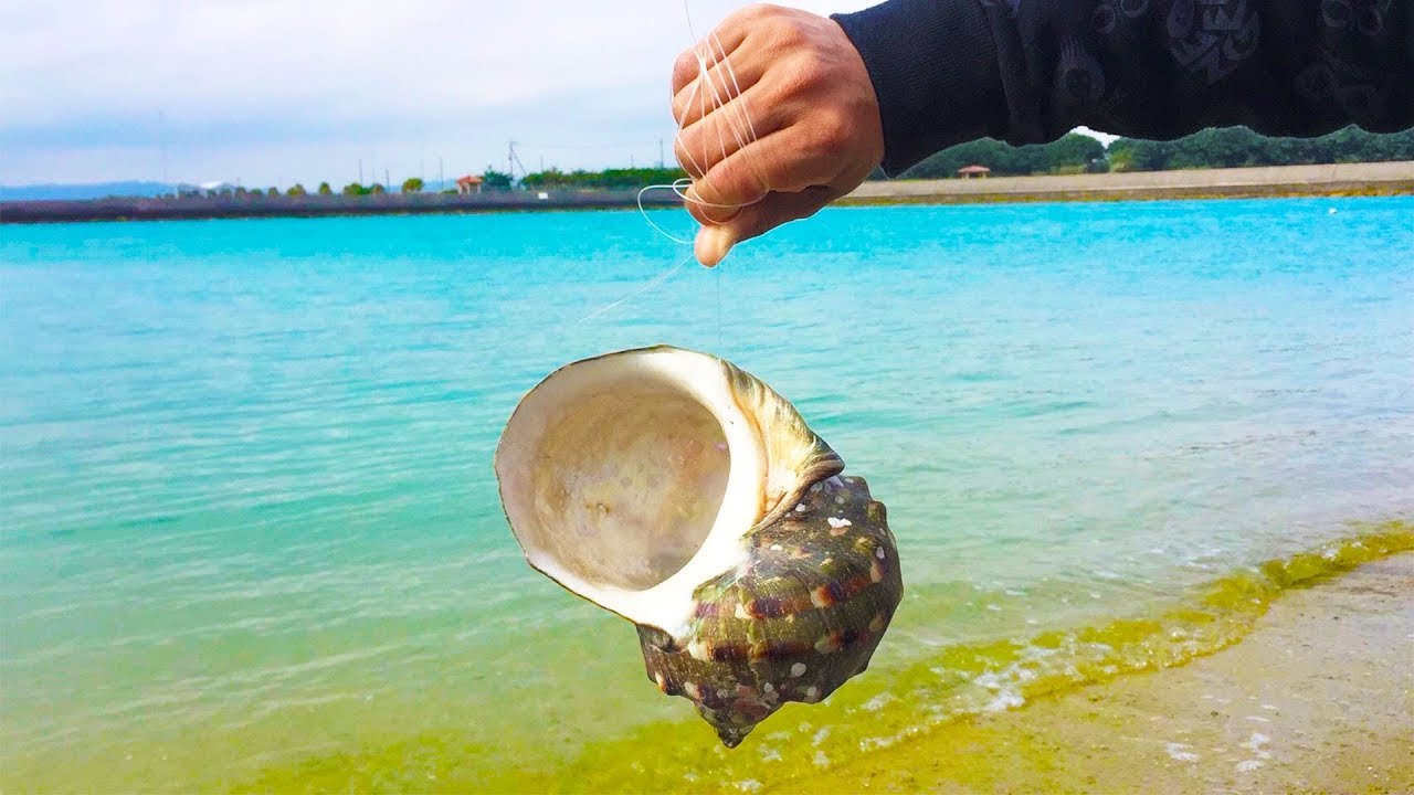 Make the world's oldest primitive fishing hook! [Fishing hook made