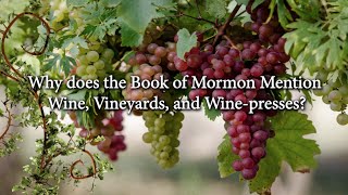 Why does the Book of Mormon Mention Wine Vineyards and Wine presses (Knowhy #88)