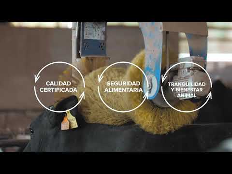🎬 Video con opiniones sobre Calienta Leches Carrefour