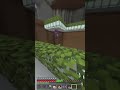 New glitch in Minecraft?