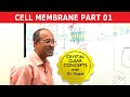 Cell Membrane Part 1/2