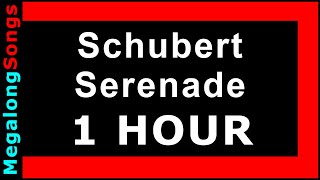Schubert - Serenade (classical music) 🔴 [1 HOUR LOOP] ✔️