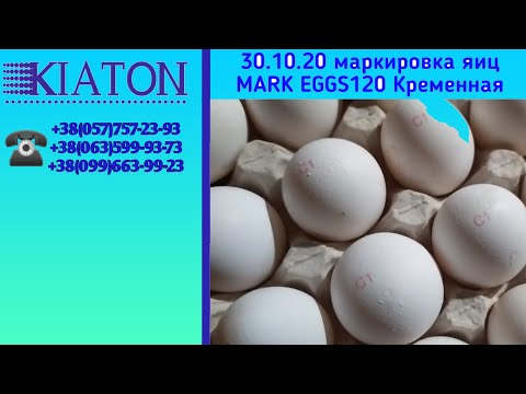 30.10.20 маркировка яиц