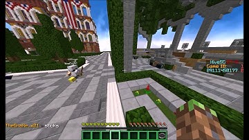 Hive hackers: team of 2 fly hackers