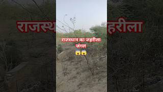🐯😁😁 #funny #forestlife #relatable #junglestory #motivationalvideo #studymotivation #motivation