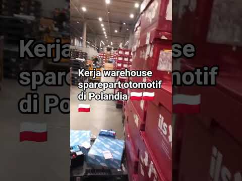 Kostal Automotive Poland Sp Z Oo Opinie