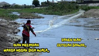 JALA IKAN DI LOKASI BARU DEKAT TIANG PANCANG LIHAT IKANNYA