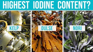 SEAWEED IODINE CONTENT - comparison of 9 types of seaweed