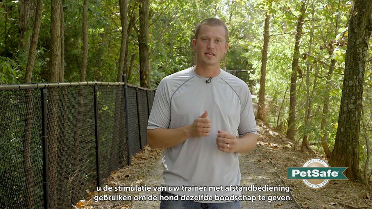 PetSafe® Training op afstand Training zonder leiband YouTube