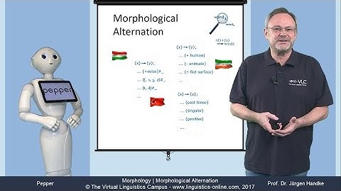 MOR106 - Morphological Alternation