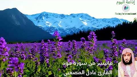 ما تيسر من سورة هود القارئ عادل حسين المصعبي