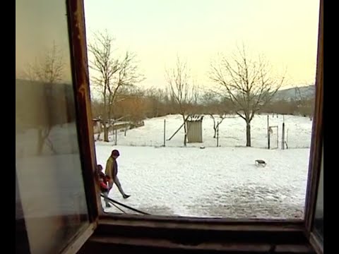 არასასურველი სტუმარი