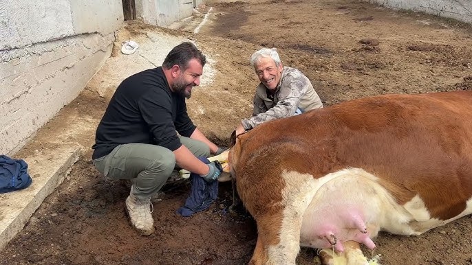 Футанария порно видеолары