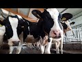 Milchvieh - Kreislehrfahrt 2020 – Landwirtschaft virtuell