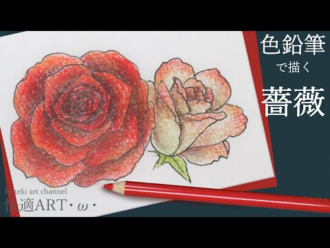 色鉛筆 薔薇のイラスト 描き方解説 手紙やはがきなどの挿絵イラストに リアルで立体感ある秋薔薇 Youtube
