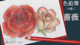 色鉛筆 薔薇のイラスト 描き方解説 手紙やはがきなどの挿絵イラストに リアルで立体感ある秋薔薇 Youtube