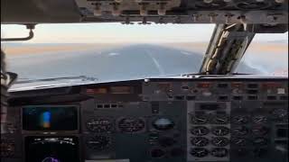 Boeing 737 Bird-Strike - Recorded In Pit Cam During Landing