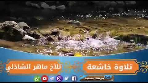 تلاوة خاشعة ماهر الشاذلي