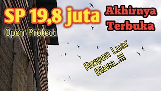 Suara walet sp 19,8 juta open protect gratis download