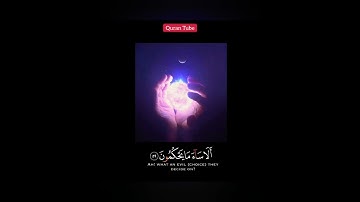 📖 سورةُ النَّحل__آيات(57-59)  || ارح قلبك🧡  "🎙القارئ : عبدالرحمن مسعد" _حالات واتس دينية