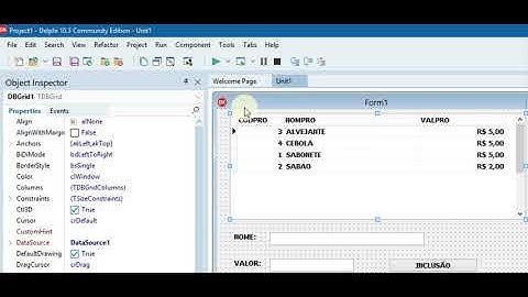GRAVANDO DADOS EM MEMORIA PALETA INTERBASE - DELPHI 10.3