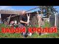 Корм для бройлеров и ЗАБОЙ КРОЛИКОВ.