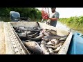 Loading the Boat with HUGE CATFISH | How to catch CATFISH | Commercial Catfishing in Louisiana