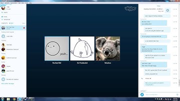 Casual Skype Calls: Classic Sam