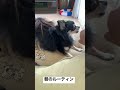 朝のルーティン