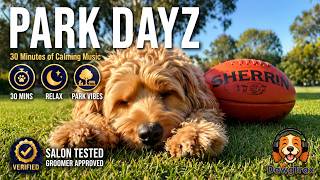Calming Dog Music 🌿 Park Dayz Relaxation | Reduce Anxiety &amp; Stress (30 Min)