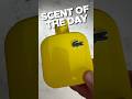 Scent Of The Day 12 12 Yellow By Lacoste