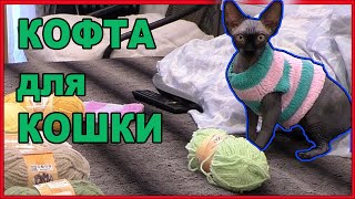 Сколько кофточек у кошки которая мерзнет постоянно.