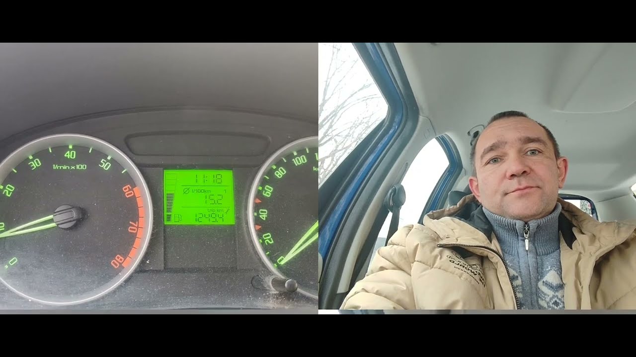 Снежинка на приборной панели. Что значит!? #авто #автомобили #skoda ...