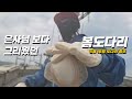 [깐부피싱] 은사님 보다 그리웠던 봄도다리