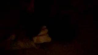 Its Like Wrestling With A Whale... Ft. Gems