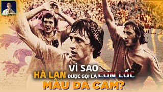 Top 8 cơn lốc màu da cam tốt nhất