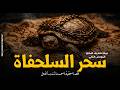 سحر مدفون في المقابر معمول على سلحفاة حية يسبب الموت البطئ والفاعل تنضيف المقابر رعب رامي سمك