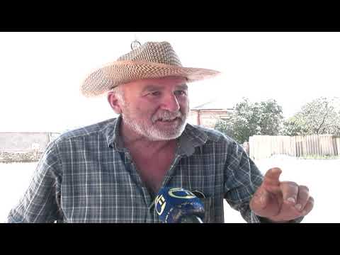 კახელი რესპონდენტების 2020  წლის ინტერვიუები,რომელზეც ბევრს იცინებთ