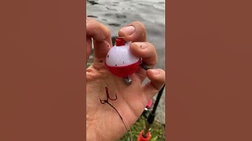 BEST Stocked Trout Setup for Beginners (No Live WORMS Needed!)