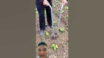 Dụng cụ trồng cây hiệu quả #gardening