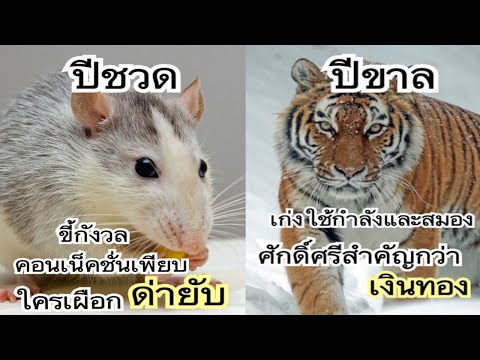 วีดีโอ: วิธีหาคนตามปีเกิดและนามสกุล