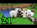 EL DIOS DE LOS ANIMALES #21 - SURVIVALMINECRAFT 2