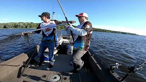 ouverture musky 2021