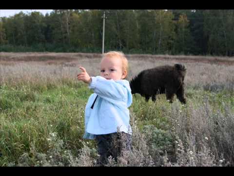 Дорогою добра.wmv