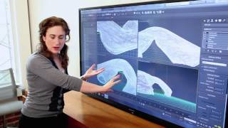 Autodesk Maintenance Subscription