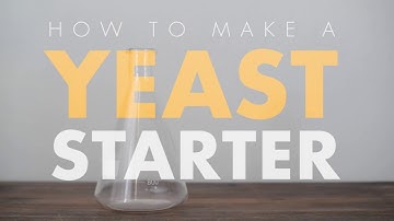 How To Make A Yeast Starter